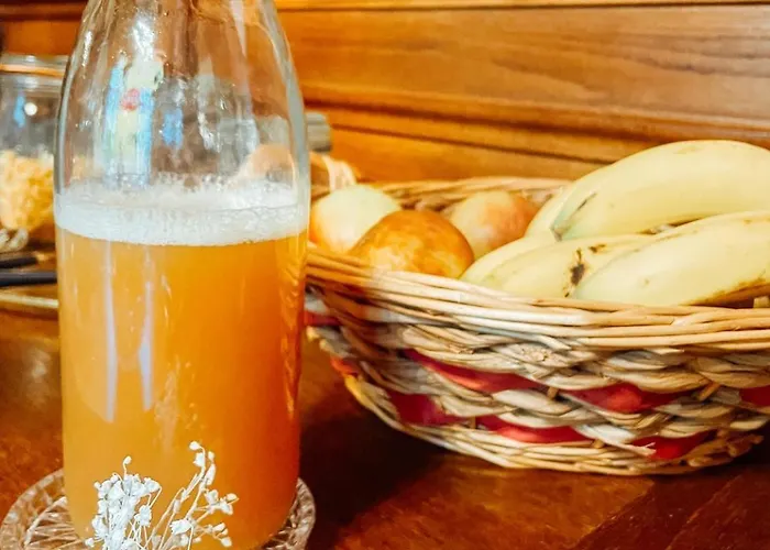 Chateau Du Guerinet * Saint-Priest-Bramefant